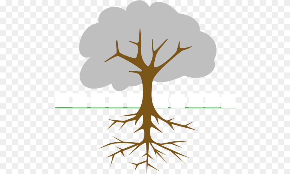 Stock Tree With Roots Files Mango Tree Root System, Antler Free Png Download