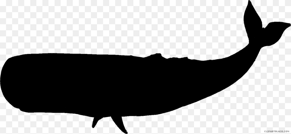 Stock Whale Silhouette At Getdrawings Whale Vector Silhouette, Animal Free Transparent Png