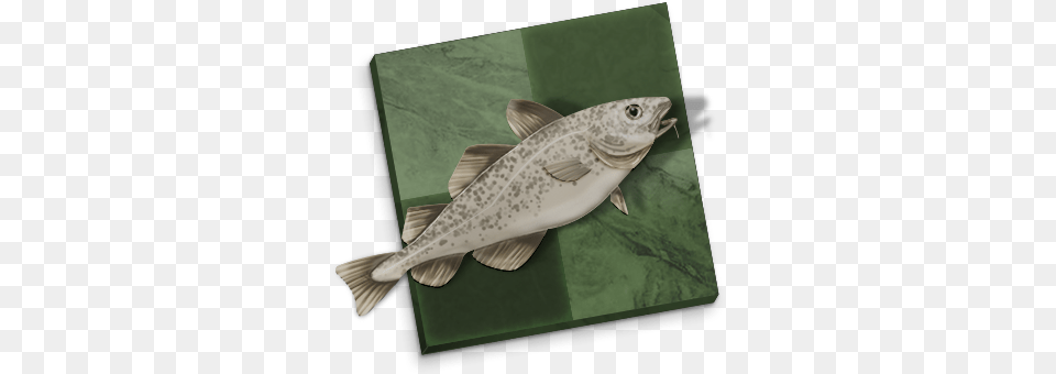 Stockfish Stockfish Engine, Animal, Sea Life, Cod, Fish Png