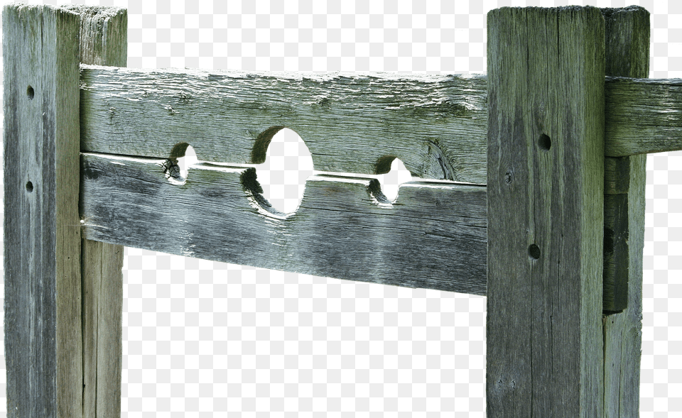 Stocks Device, Hole, Wood, Animal, Bird Png