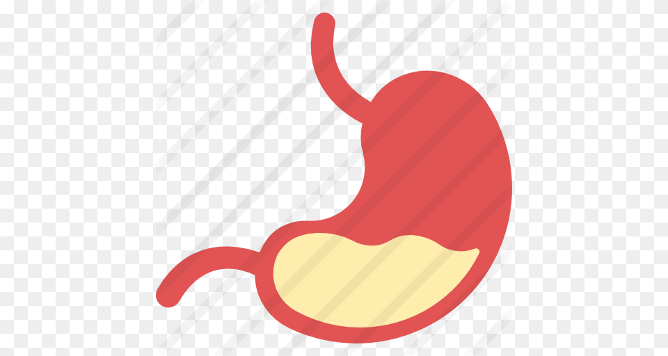 Stomach, Body Part, Food, Fruit, Plant Free Png
