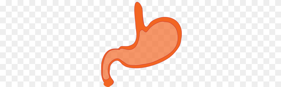 Stomach Clip Art, Body Part, Balloon Free Png