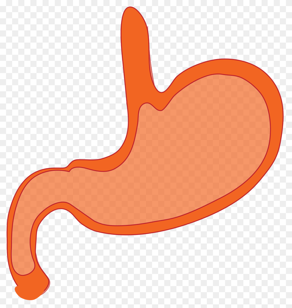 Stomach Clipart, Body Part, Balloon, Food, Ketchup Free Png