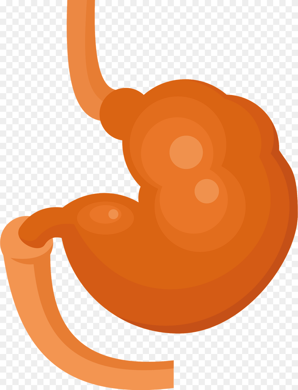 Stomach Clipart, Body Part, Animal Png Image