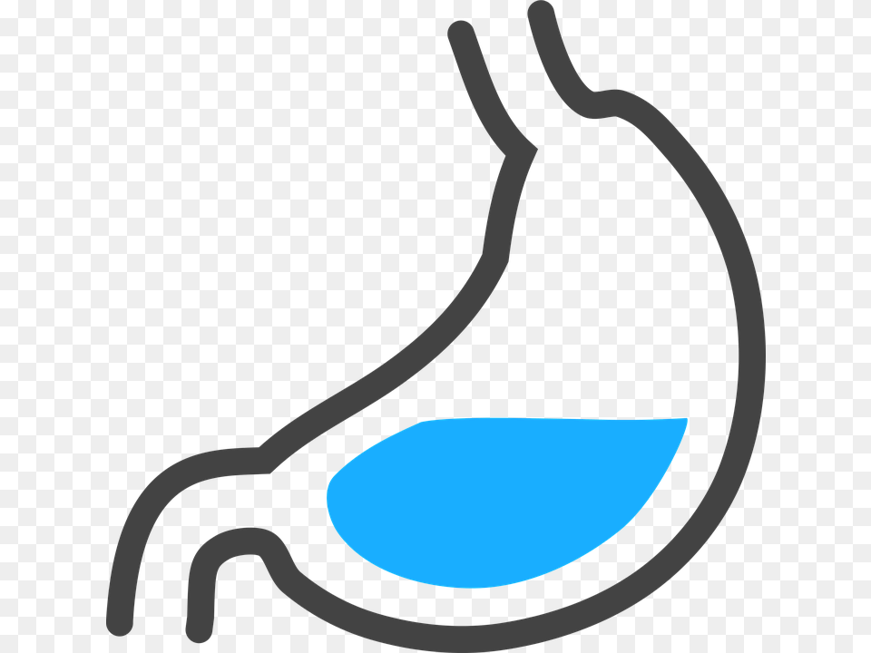 Stomach Hd Transparent Stomach Hd Images, Accessories, Goggles, Smoke Pipe Free Png