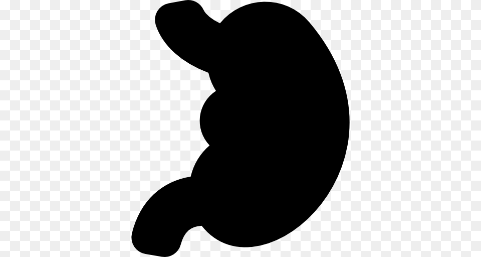Stomach Icon, Silhouette, Animal, Bear, Mammal Free Png Download