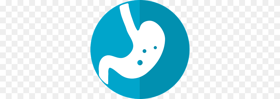 Stomach Icon Body Part, Disk Png Image