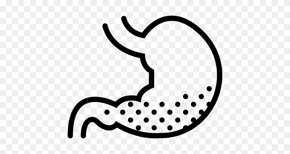 Stomach Icon, Gray Png Image