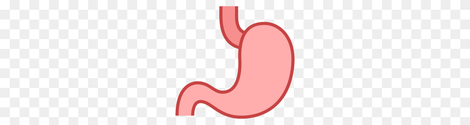 Stomach Icon Download, Body Part, Smoke Pipe Free Transparent Png