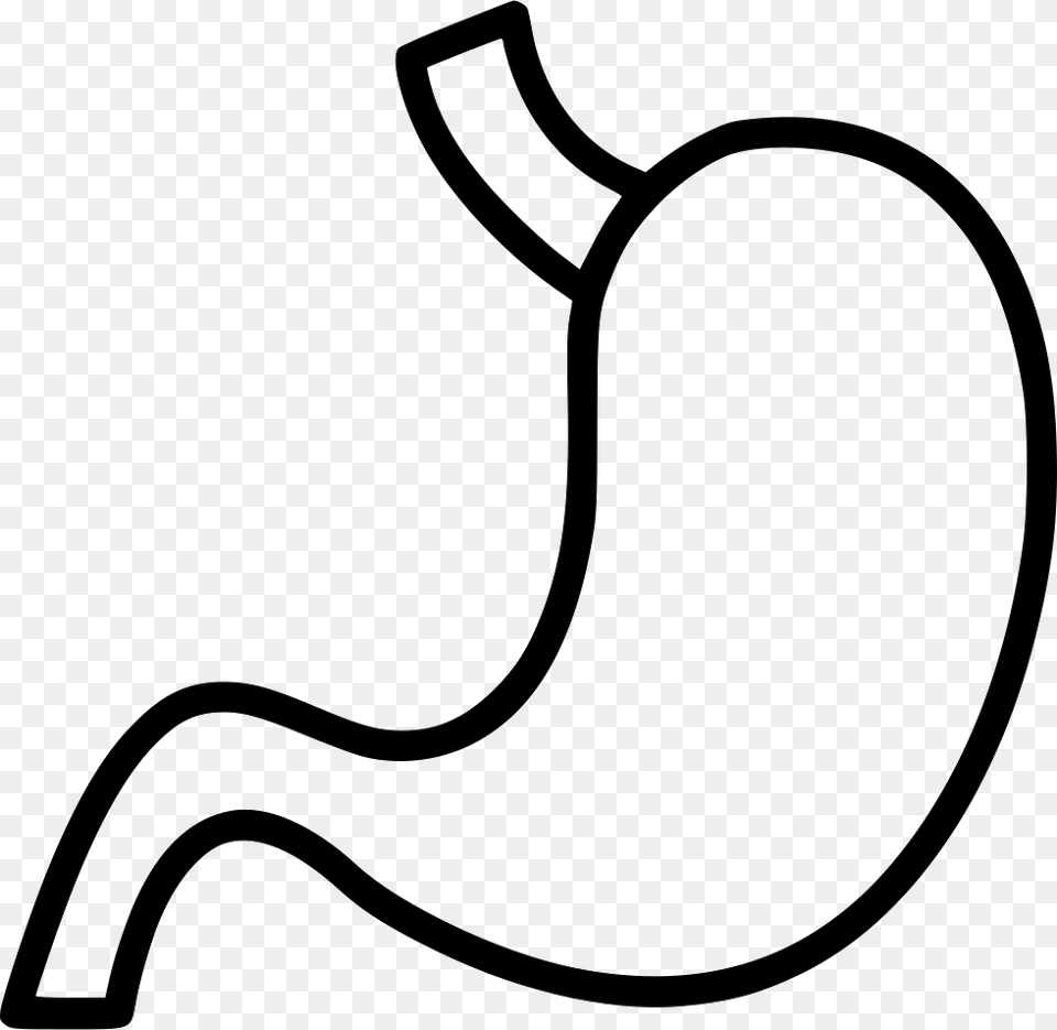 Stomach Icon Free Download, Body Part, Smoke Pipe, Food, Produce Png
