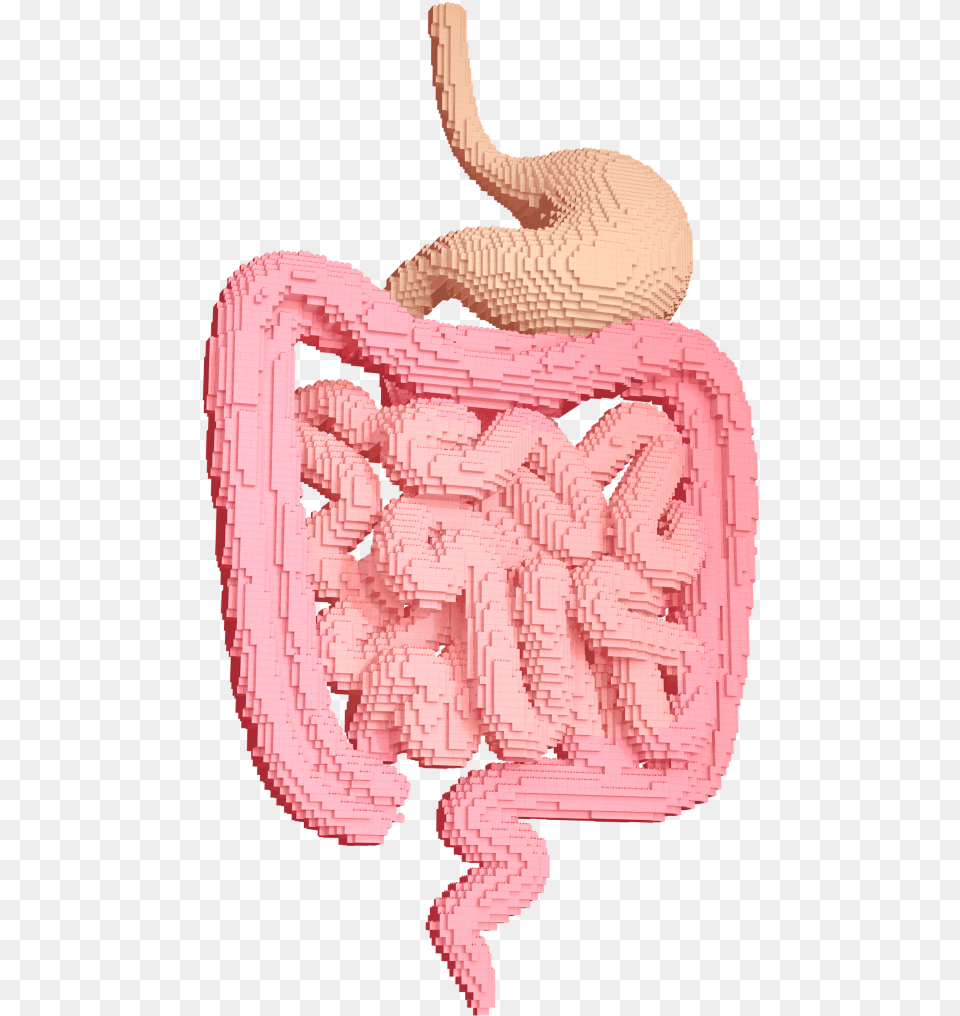 Stomach Icon Illustration, Body Part, Baby, Person, Face Free Transparent Png