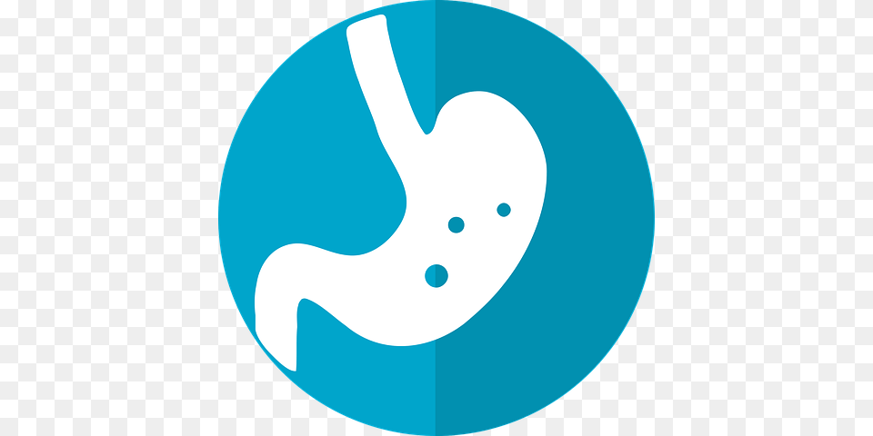 Stomach Icon Wisconsin Office Of Rural Health, Disk Free Transparent Png