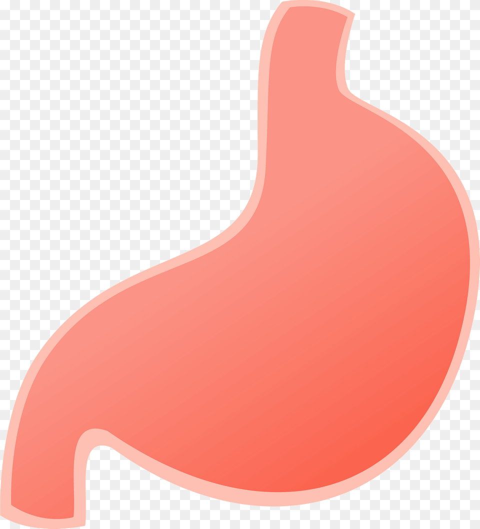 Stomach Organ Clipart, Body Part Png