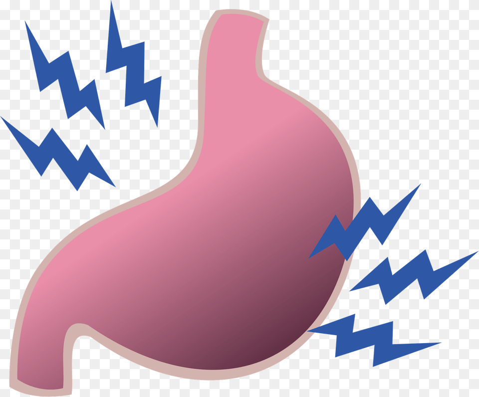 Stomach Organ Clipart, Body Part, Food, Produce Free Png Download