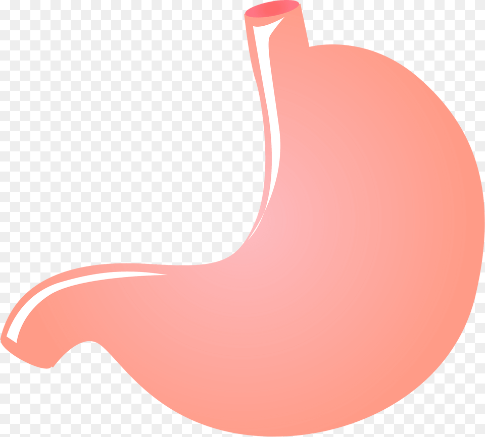 Stomach Organ Clipart, Body Part, Astronomy, Moon, Nature Free Transparent Png