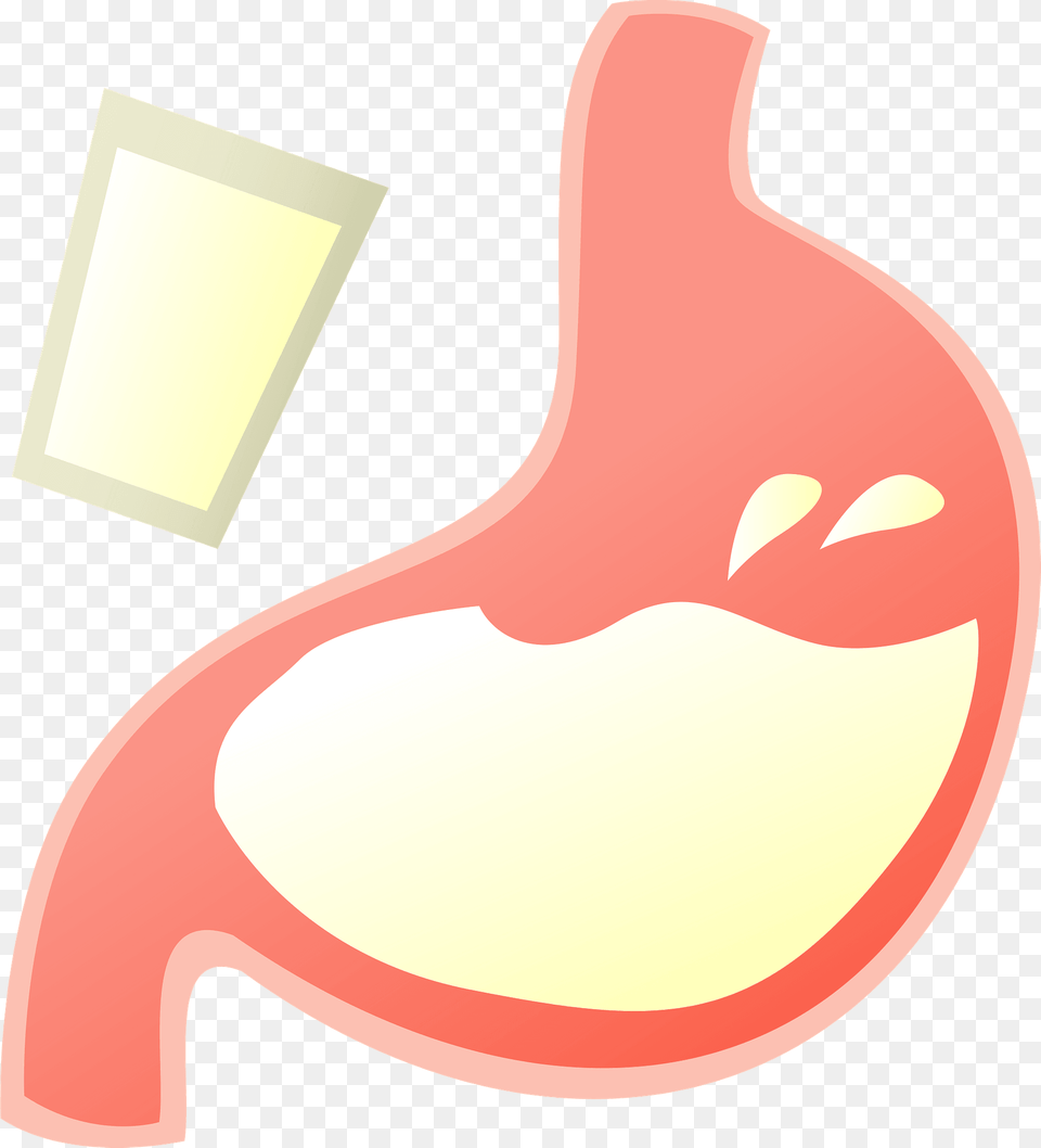Stomach Organ Filled With Barium Clipart, Body Part, Smoke Pipe Free Png Download