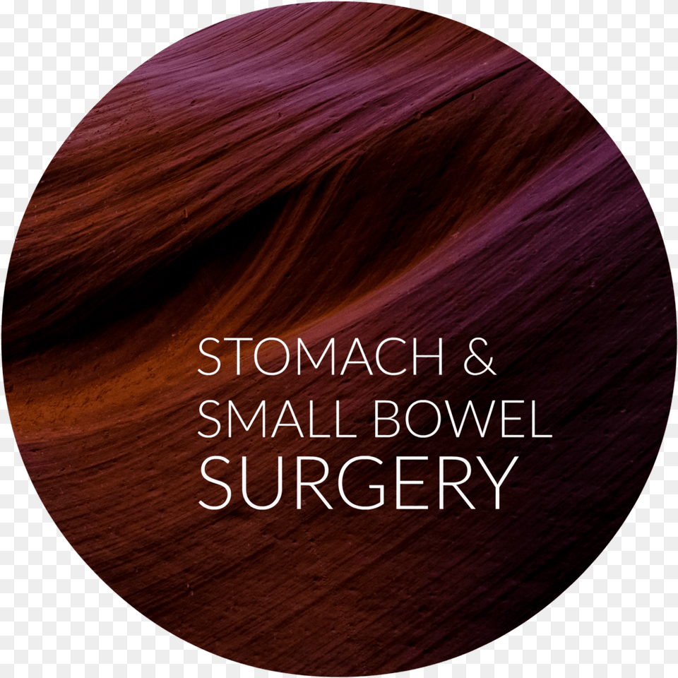 Stomach Sm Bowel Lace Wig, Photography, Wood, Book, Maroon Free Transparent Png