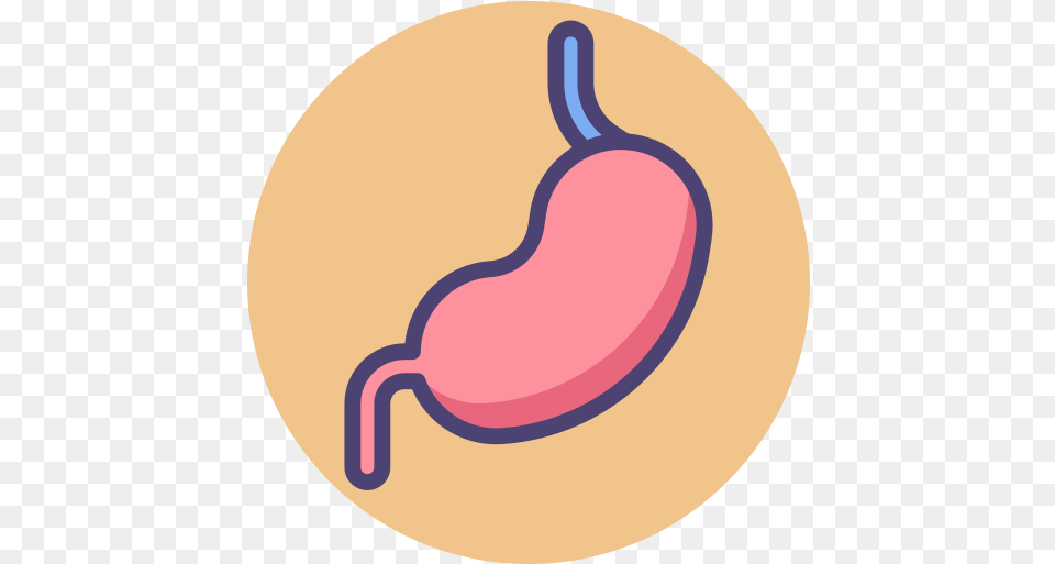 Stomach Stomach Icon, Body Part, Astronomy, Moon, Nature Png