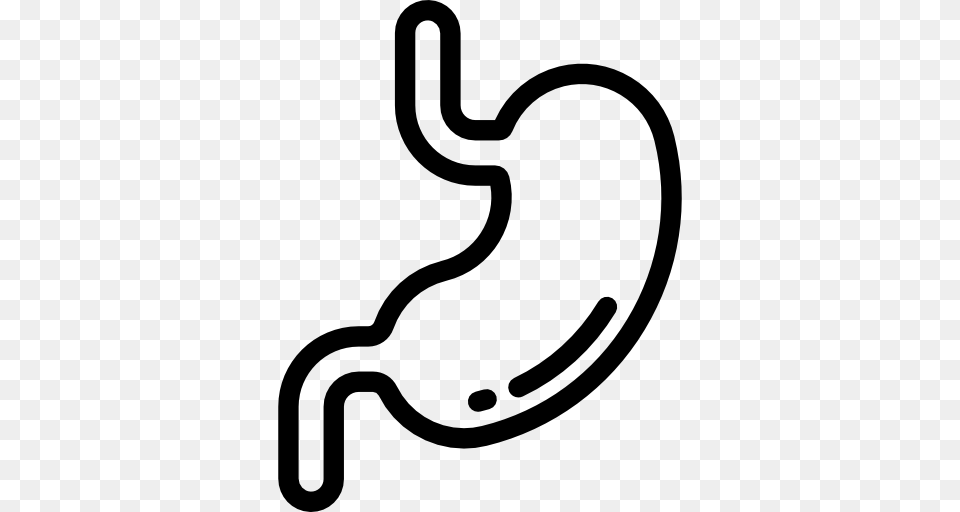 Stomach Black And White Huge Freebie, Gray Free Transparent Png