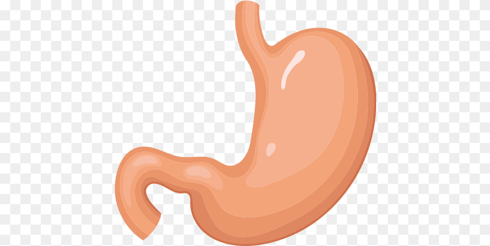 Stomach Vector Icons In Stomach, Body Part, Smoke Pipe Png
