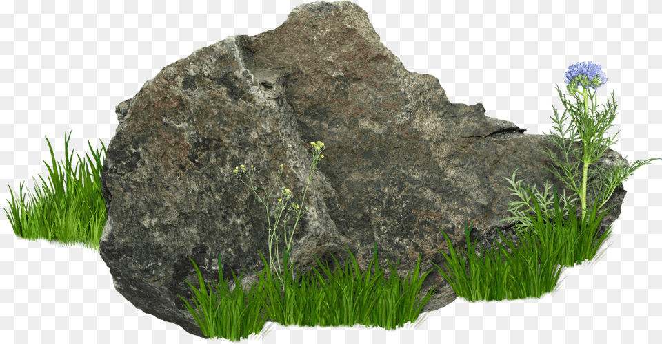Stone, Grass, Plant, Rock, Flower Png