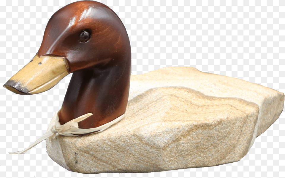 Stone Age Creations Duck, Animal, Bird, Anseriformes, Waterfowl Png