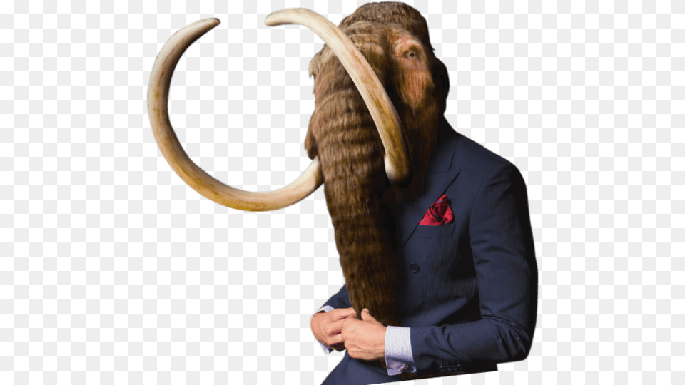 Stone Age Mammoth, Clothing, Formal Wear, Suit, Adult Png Image