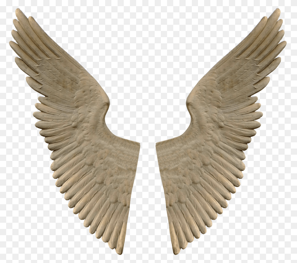 Stone Angel Wings, Animal, Bird, Waterfowl Png