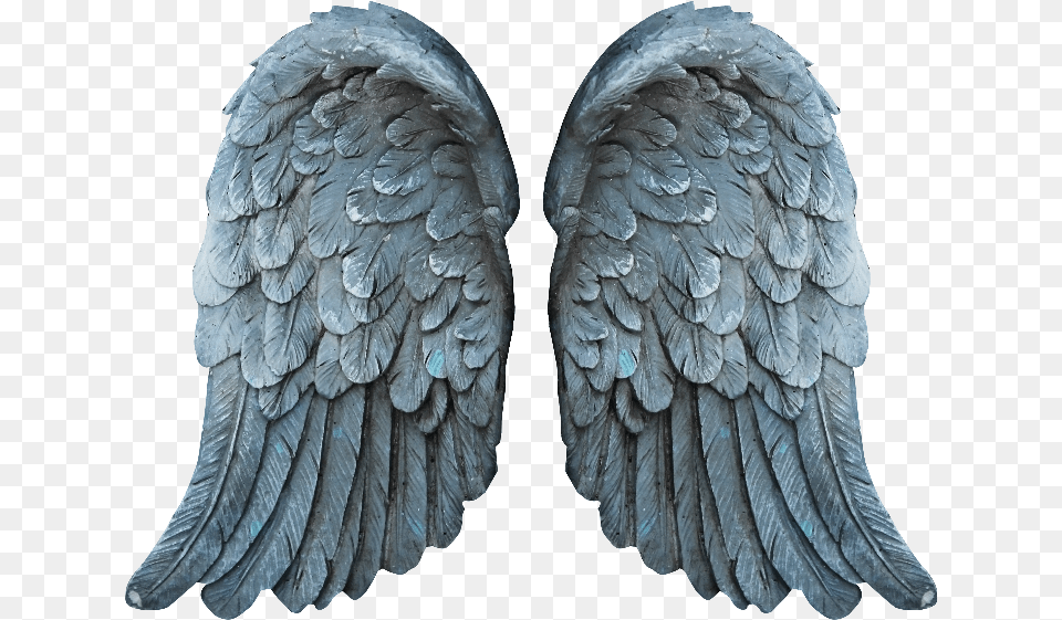 Stone Angel Wings, Animal, Bird, Art, Beak Free Png
