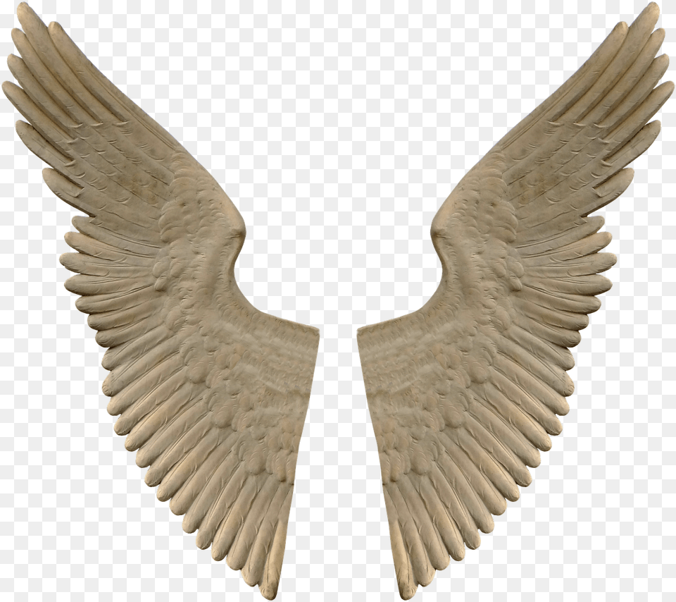 Stone Angel Wings, Animal, Bird Free Png