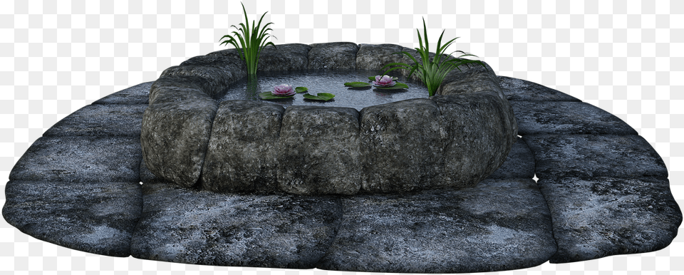 Stone Pond Grass Water Lily Pads Fish Wishing Outcrop, Tree, Potted Plant, Plant, Outdoors Png