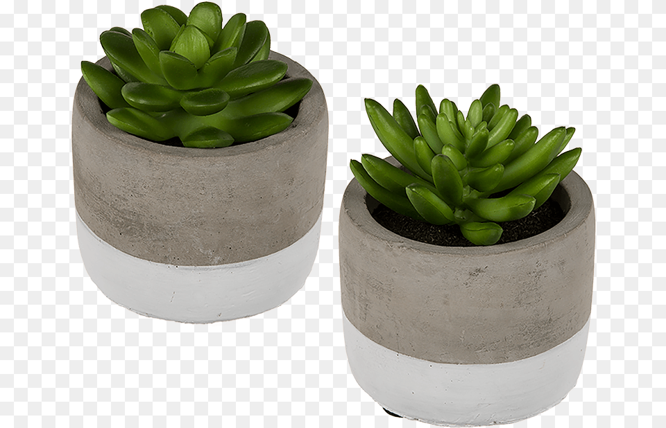 Stone Pots For Succulents, Jar, Plant, Planter, Potted Plant Free Png