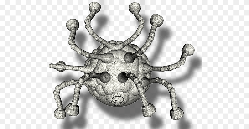Stoned Beholder Drk Weevil, Accessories, Animal, Invertebrate, Spider Free Transparent Png