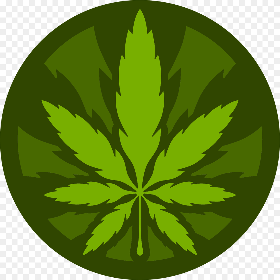 Stoned Daily News, Herbal, Herbs, Leaf, Plant Free Transparent Png