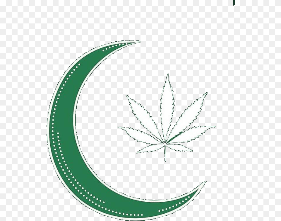 Stonedmoonxyz Hemp, Plant, Weed, Herbal, Herbs Png