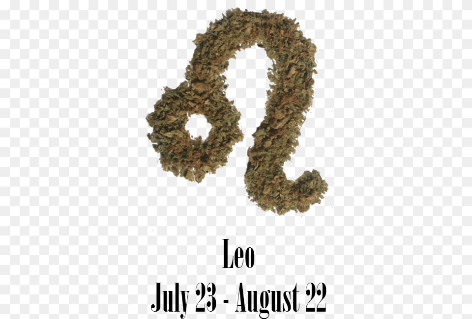 Stoner Leo Monthly Horoscope Leo Weed Png Image