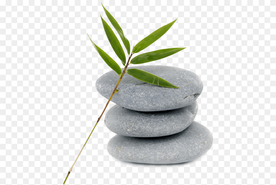 Stones Pebble, Leaf, Plant Free Png Download