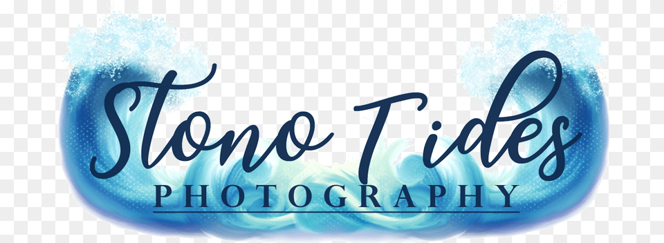 Stono Tides Logo Calligraphy, Ice, Book, Publication, Text Free Transparent Png