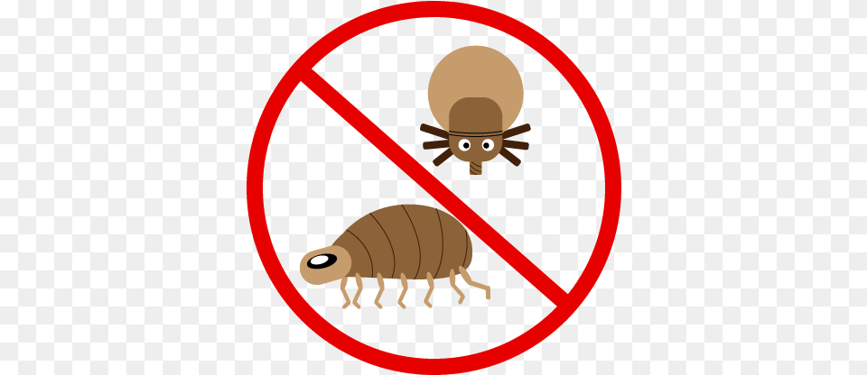 Stop Fleas Cartoon Basketball Black And White, Animal, Flea, Insect, Invertebrate Png