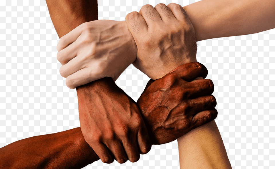 Stop Racism Black And White Hands, Body Part, Hand, Person, Wrist Free Transparent Png