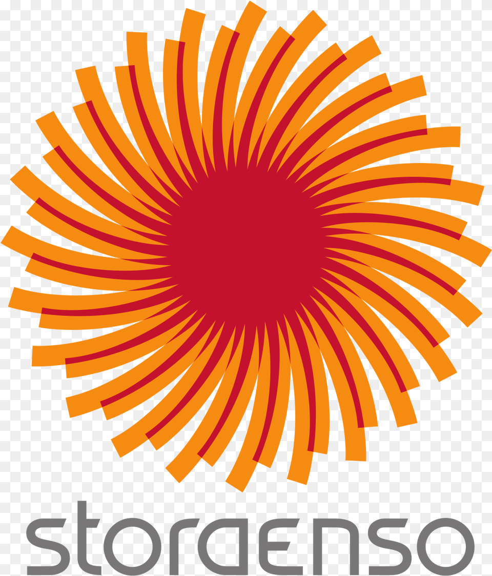 Stora Enso Logo, Pattern, Flower, Person, Plant Free Transparent Png