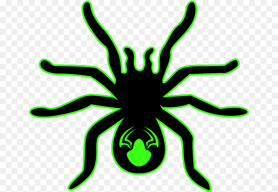 Store 2 U2014 The Tarantula Collective, Light, Neon, Animal, Invertebrate Free Transparent Png