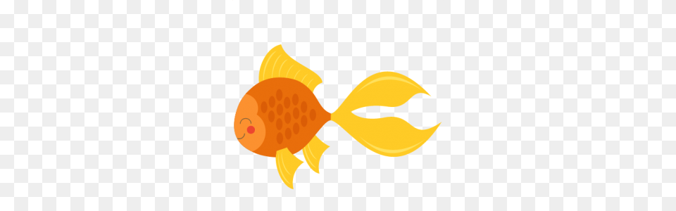 Store, Animal, Sea Life, Fish, Goldfish Png