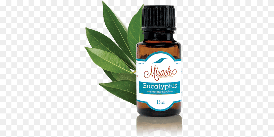 Store Eucalyptus Miracle Essential Oils Immunity Essential Oil Blend Miracle Essential Oils, Herbal, Herbs, Leaf, Plant Free Transparent Png