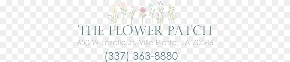 Store Logo Store Logo, Flower, Plant, Text, Outdoors Png
