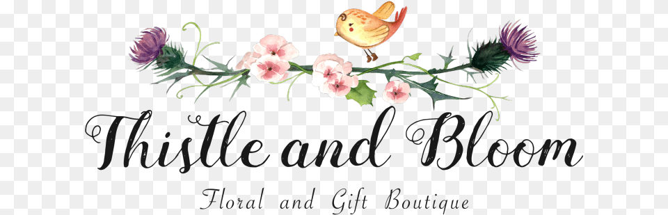 Store Logo Store Logo, Flower, Plant, Pattern, Art Free Transparent Png
