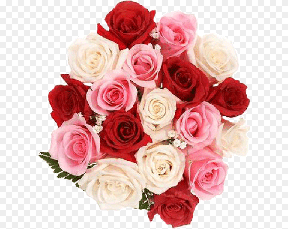 Store Pictures W Red And White Roses Bouquet, Flower, Flower Arrangement, Flower Bouquet, Plant Free Transparent Png