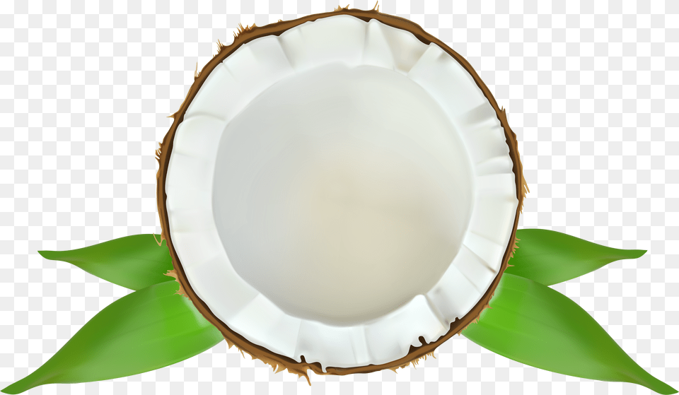 Store Vanilla Coconut Premium Fragrance Png Image