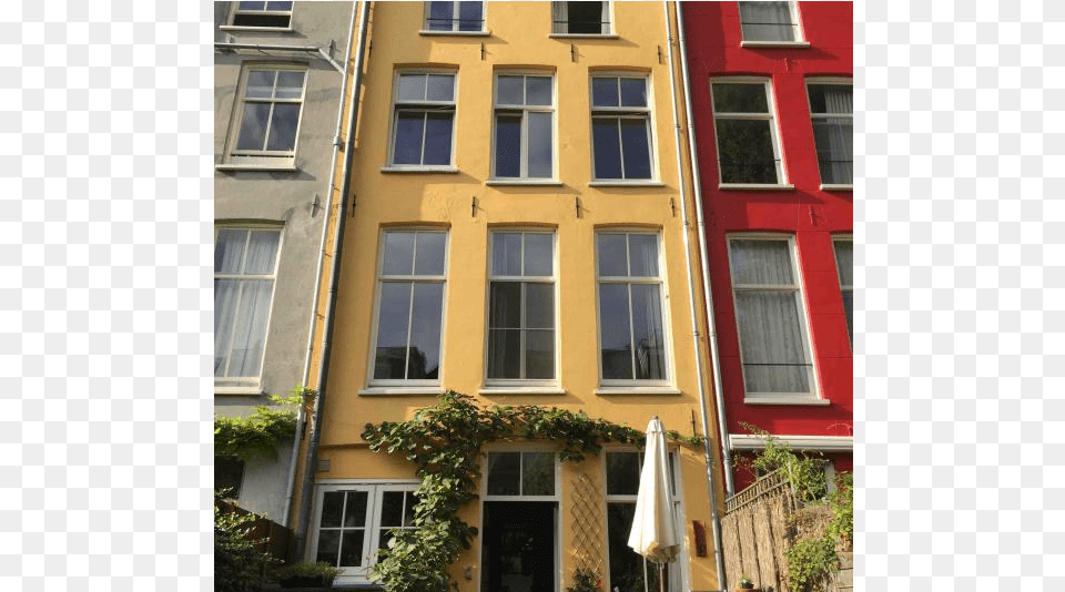 Storey House In The Centre Of Amsterdam, Window, City, Urban, Plant Free Png Download