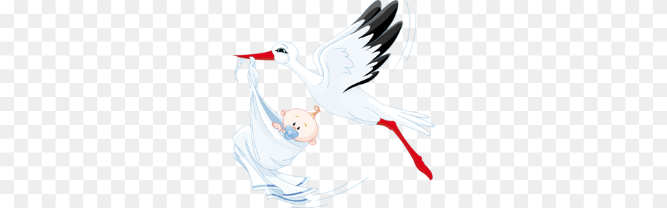 Stork, Animal, Bird, Waterfowl, Crane Bird Free Png Download